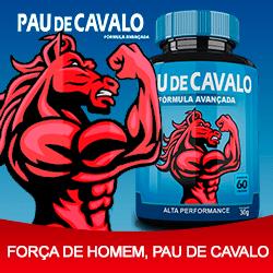 Pau de cavalo